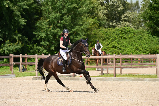 Klein Offenseth  - Hengststation Hell | 26072025 M+ Springen _135 