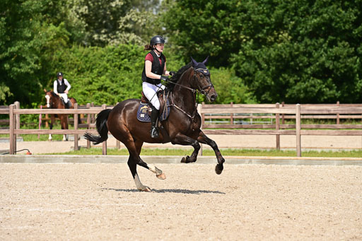 Klein Offenseth  - Hengststation Hell | 26072025 M+ Springen _136 