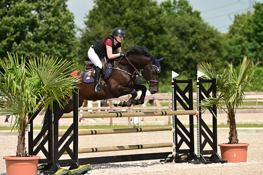 Klein Offenseth  - Hengststation Hell | 26072025 M+ Springen _137 