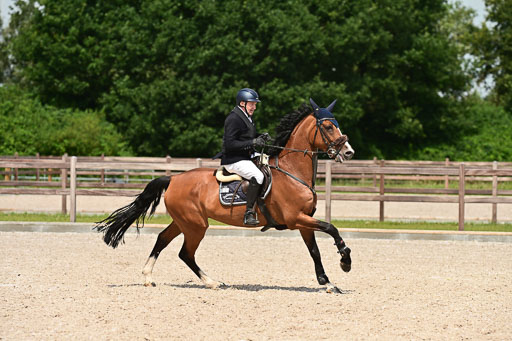 Klein Offenseth  - Hengststation Hell | 26072025 M+ Springen _157 
