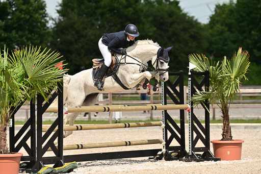 Klein Offenseth  - Hengststation Hell | 26072025 M+ Springen _165 