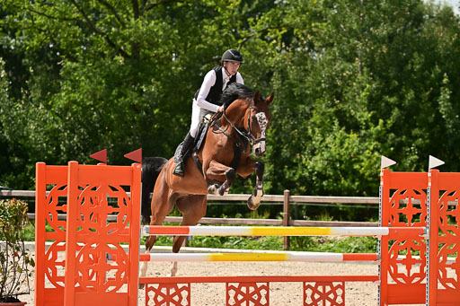 Klein Offenseth  - Hengststation Hell | 26072025 M+ Springen _168 