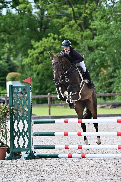 Klein Offenseth  - Hengststation Hell  28.07.2025 | 28072025 Springpferde A 