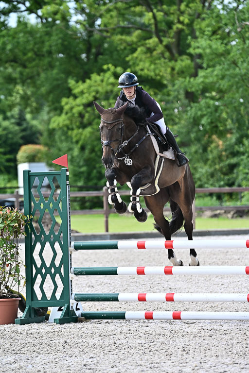 Klein Offenseth  - Hengststation Hell  28.07.2025 | 28072025 Springpferde A_001 