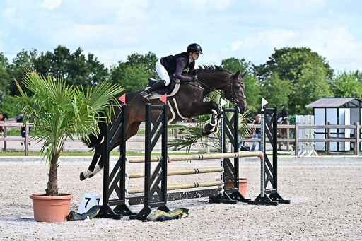 Klein Offenseth  - Hengststation Hell  28.07.2025 | 28072025 Springpferde A_002 