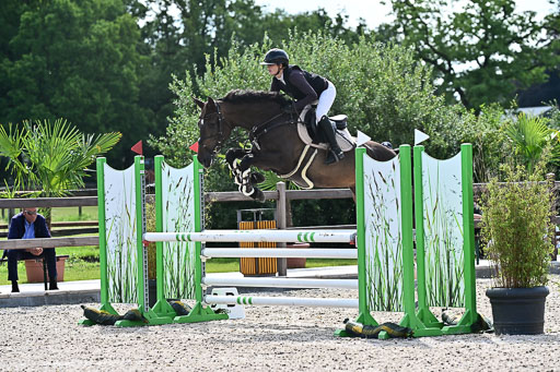 Klein Offenseth  - Hengststation Hell  28.07.2025 | 28072025 Springpferde A_003 