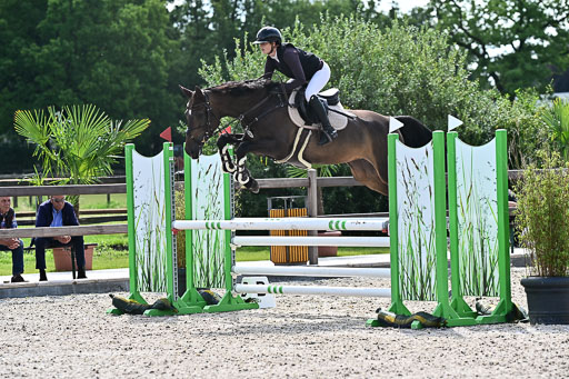 Klein Offenseth  - Hengststation Hell  28.07.2025 | 28072025 Springpferde A_004 