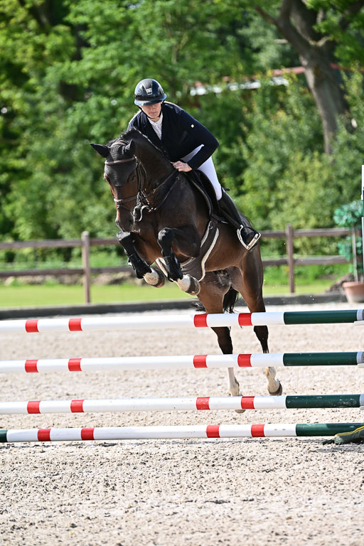 Klein Offenseth  - Hengststation Hell  28.07.2025 | 28072025 Springpferde A_005 