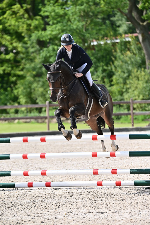 Klein Offenseth  - Hengststation Hell  28.07.2025 | 28072025 Springpferde A_006 