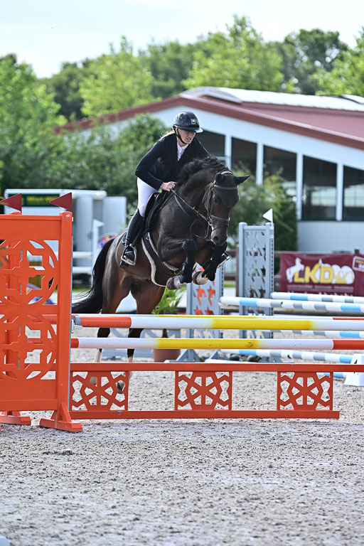 Klein Offenseth  - Hengststation Hell  28.07.2025 | 28072025 Springpferde A_007 