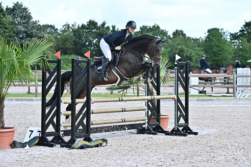 Klein Offenseth  - Hengststation Hell  28.07.2025 | 28072025 Springpferde A_008 