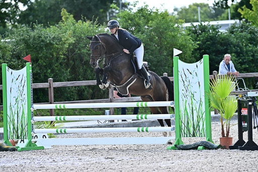 Klein Offenseth  - Hengststation Hell  28.07.2025 | 28072025 Springpferde A_009 