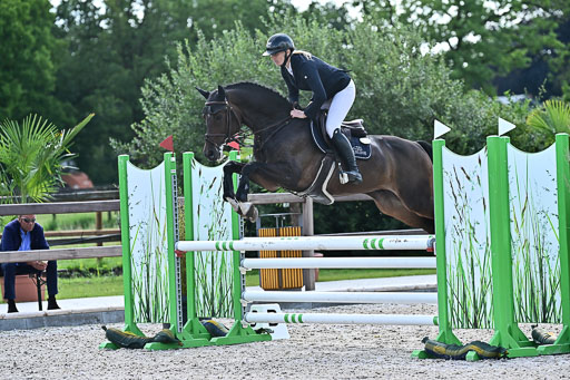 Klein Offenseth  - Hengststation Hell  28.07.2025 | 28072025 Springpferde A_010 