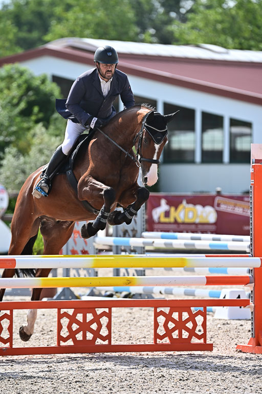 Klein Offenseth  - Hengststation Hell  28.07.2025 | 28072025 Springpferde A_011 