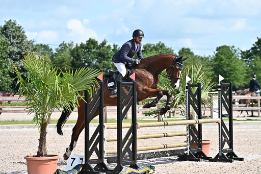 Klein Offenseth  - Hengststation Hell  28.07.2025 | 28072025 Springpferde A_012 