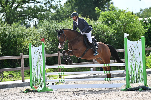 Klein Offenseth  - Hengststation Hell  28.07.2025 | 28072025 Springpferde A_014 