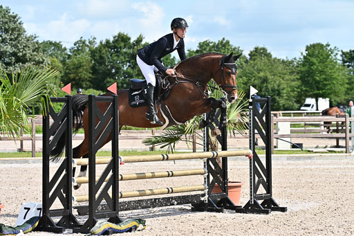 Klein Offenseth  - Hengststation Hell  28.07.2025 | 28072025 Springpferde A_017 