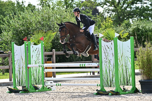 Klein Offenseth  - Hengststation Hell  28.07.2025 | 28072025 Springpferde A_018 