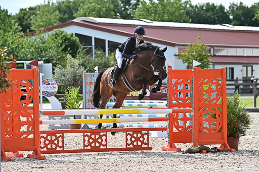 Klein Offenseth  - Hengststation Hell  28.07.2025 | 28072025 Springpferde A_020 