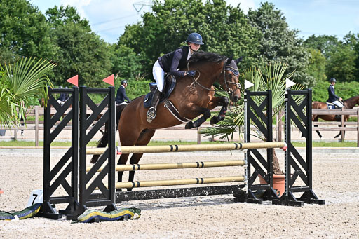 Klein Offenseth  - Hengststation Hell  28.07.2025 | 28072025 Springpferde A_021 