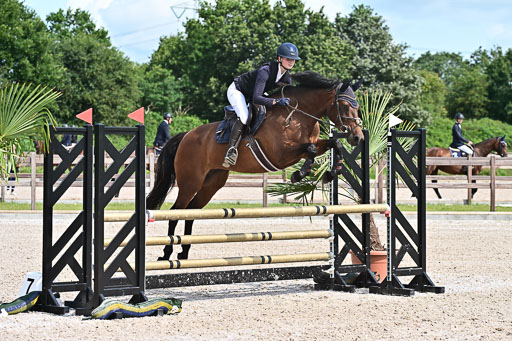 Klein Offenseth  - Hengststation Hell  28.07.2025 | 28072025 Springpferde A_022 