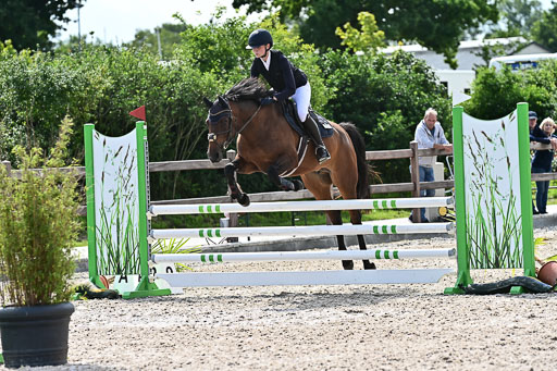 Klein Offenseth  - Hengststation Hell  28.07.2025 | 28072025 Springpferde A_023 