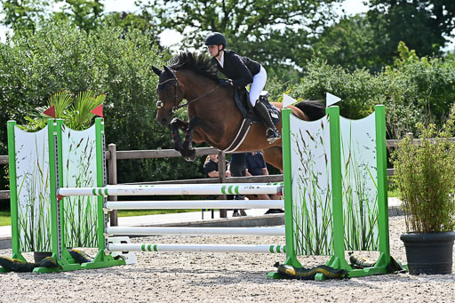 Klein Offenseth  - Hengststation Hell  28.07.2025 | 28072025 Springpferde A_024 