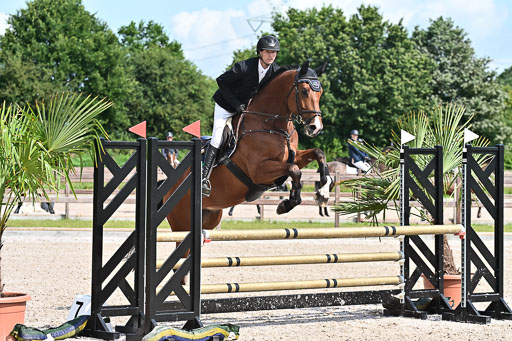 Klein Offenseth  - Hengststation Hell  28.07.2025 | 28072025 Springpferde A_028 