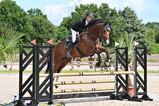 Klein Offenseth  - Hengststation Hell  28.07.2025 | 28072025 Springpferde A_029 