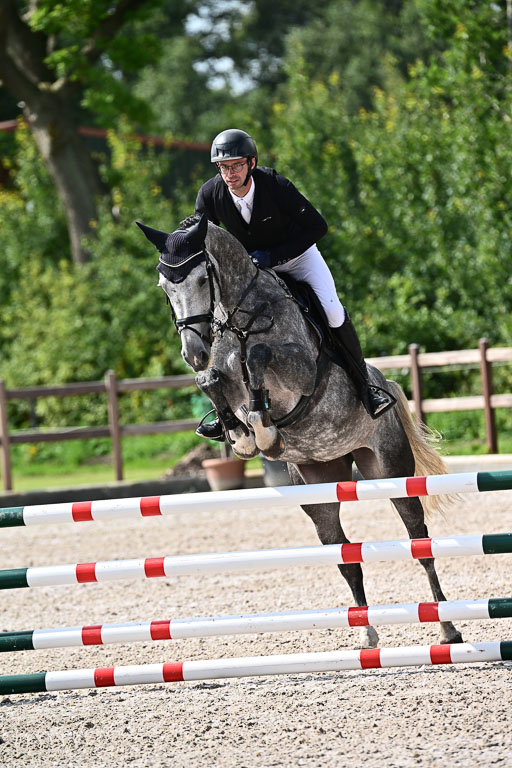 Klein Offenseth  - Hengststation Hell  28.07.2025 | 28072025 Springpferde A_031 