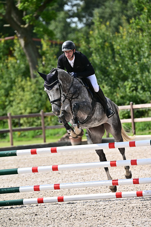 Klein Offenseth  - Hengststation Hell  28.07.2025 | 28072025 Springpferde A_032 