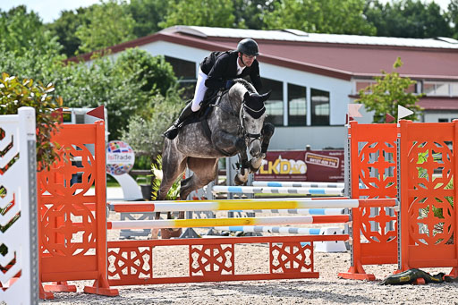 Klein Offenseth  - Hengststation Hell  28.07.2025 | 28072025 Springpferde A_034 