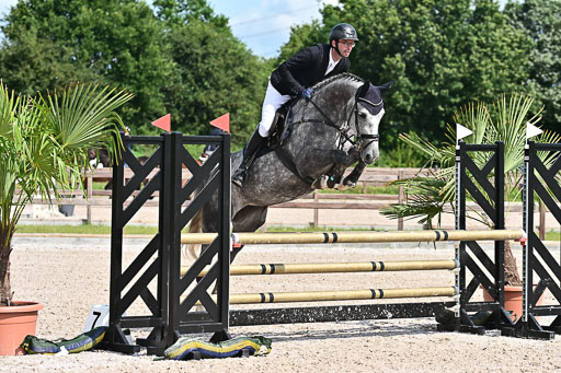 Klein Offenseth  - Hengststation Hell  28.07.2025 | 28072025 Springpferde A_035 