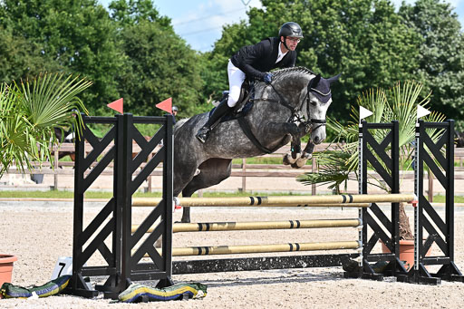 Klein Offenseth  - Hengststation Hell  28.07.2025 | 28072025 Springpferde A_036 