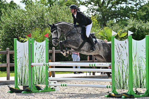 Klein Offenseth  - Hengststation Hell  28.07.2025 | 28072025 Springpferde A_038 