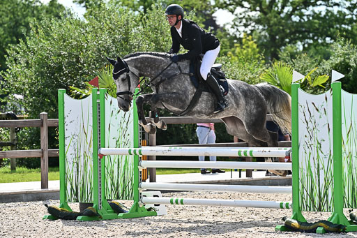 Klein Offenseth  - Hengststation Hell  28.07.2025 | 28072025 Springpferde A_039 