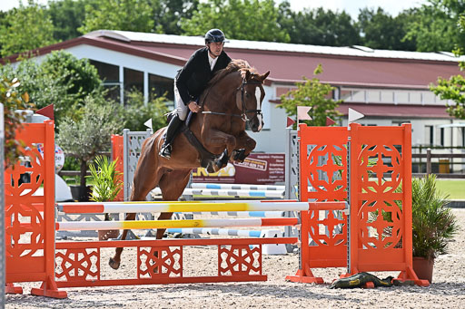 Klein Offenseth  - Hengststation Hell  28.07.2025 | 28072025 Springpferde A_040 