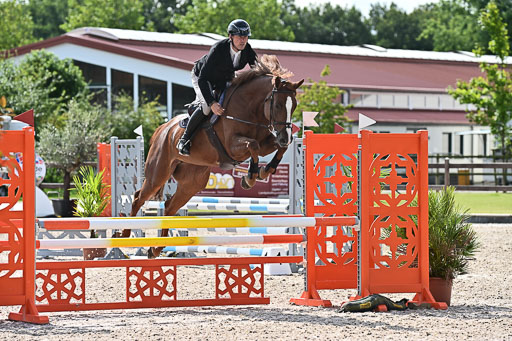 Klein Offenseth  - Hengststation Hell  28.07.2025 | 28072025 Springpferde A_041 