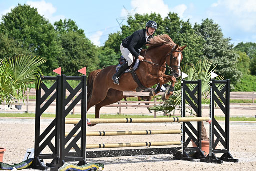 Klein Offenseth  - Hengststation Hell  28.07.2025 | 28072025 Springpferde A_042 