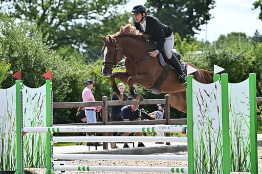 Klein Offenseth  - Hengststation Hell  28.07.2025 | 28072025 Springpferde A_043 