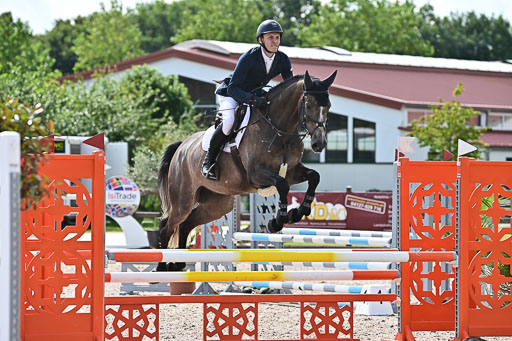 Klein Offenseth  - Hengststation Hell  28.07.2025 | 28072025 Springpferde A_046 