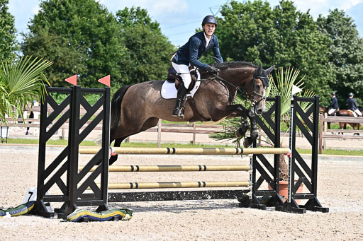 Klein Offenseth  - Hengststation Hell  28.07.2025 | 28072025 Springpferde A_049 