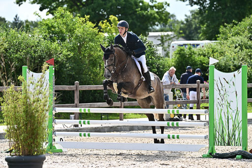 Klein Offenseth  - Hengststation Hell  28.07.2025 | 28072025 Springpferde A_050 