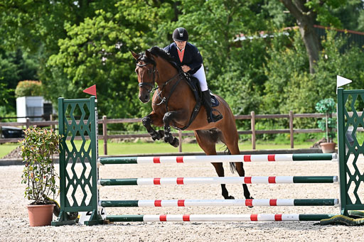 Klein Offenseth  - Hengststation Hell  28.07.2025 | 28072025 Springpferde A_052 