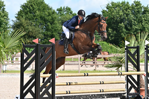 Klein Offenseth  - Hengststation Hell  28.07.2025 | 28072025 Springpferde A_055 