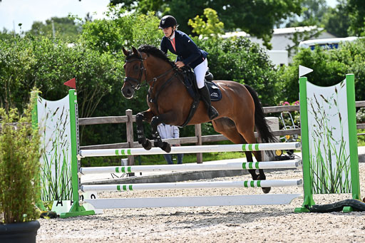 Klein Offenseth  - Hengststation Hell  28.07.2025 | 28072025 Springpferde A_056 