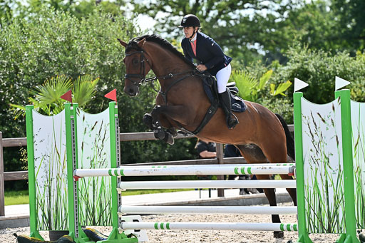 Klein Offenseth  - Hengststation Hell  28.07.2025 | 28072025 Springpferde A_057 