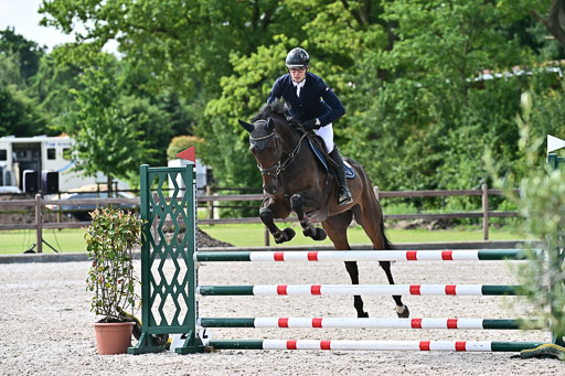 Klein Offenseth  - Hengststation Hell  28.07.2025 | 28072025 Springpferde A_058 