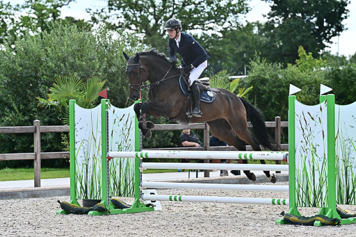 Klein Offenseth  - Hengststation Hell  28.07.2025 | 28072025 Springpferde A_061 