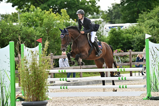 Klein Offenseth  - Hengststation Hell  28.07.2025 | 28072025 Springpferde A_065 